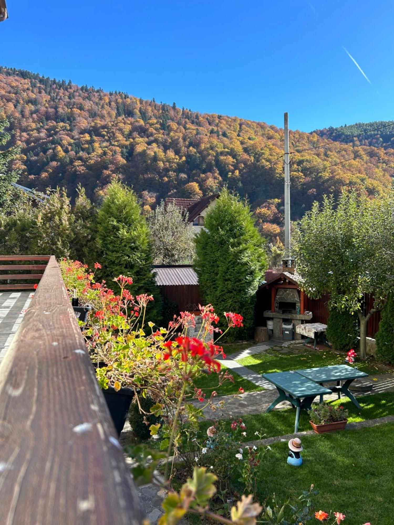 Casa Ador Hotel Sinaia Buitenkant foto